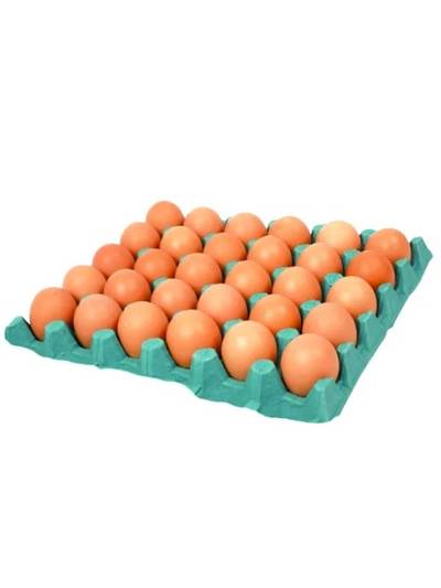 Produto Bandeja de Ovos Vermelho C/30 Unidades